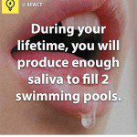 f29a898253787875646b4467d3b36a5a