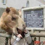 having-a-bad-day-funny-pictures-6
