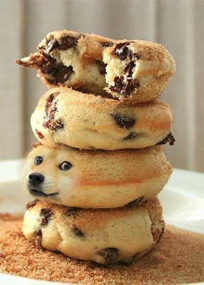 doge-donut