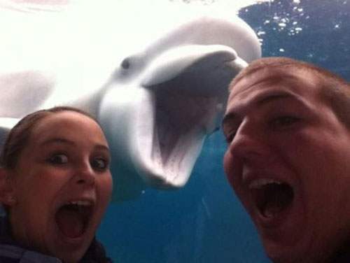 epic-selfie-dolphin