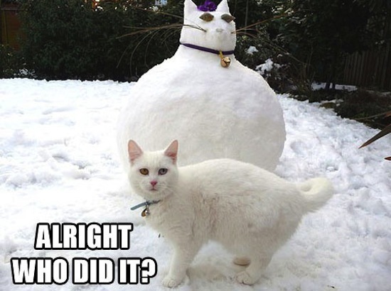 funny-snowman-cat-fat