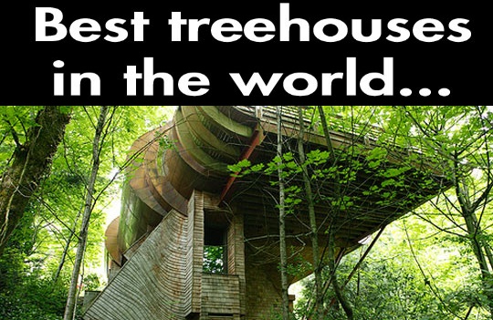 Best Tree Houses in the World!