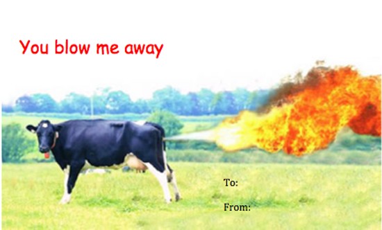 cow-blow-me-away