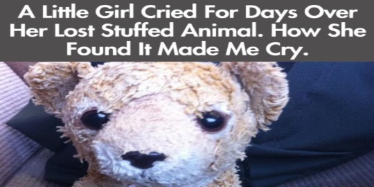 Little Girl Loses Her Stuffed Animal, Then the Internet Does Something Awesome…