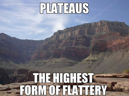 plateus-flattery