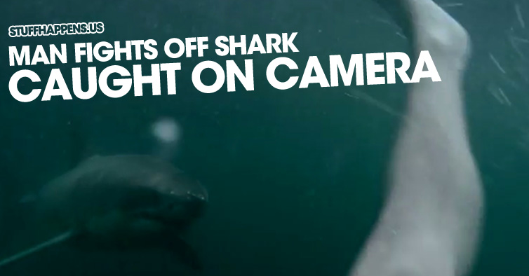 Man Fights Off Shark, Caught On Camera!