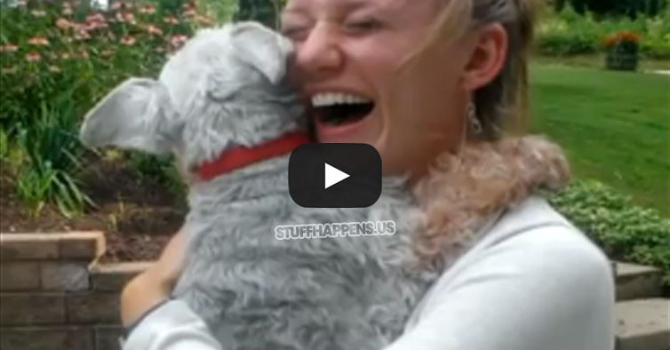 Joyous Dog Reunites With Family Member For First Time In Two Years. What Happens Next Is Overwhelming!