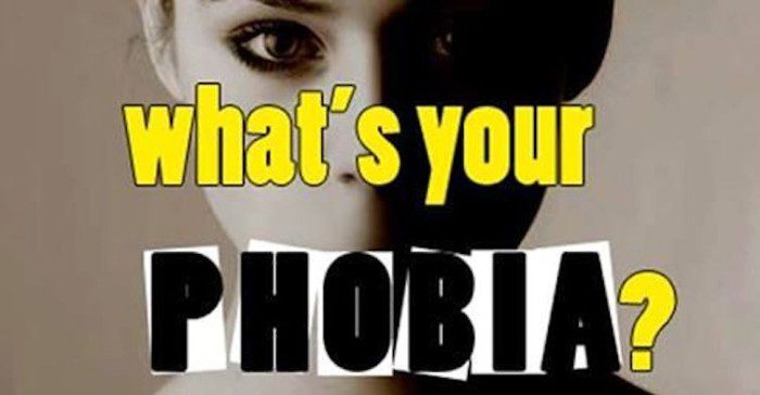 Can We Guess Your Phobia Stuff Happens