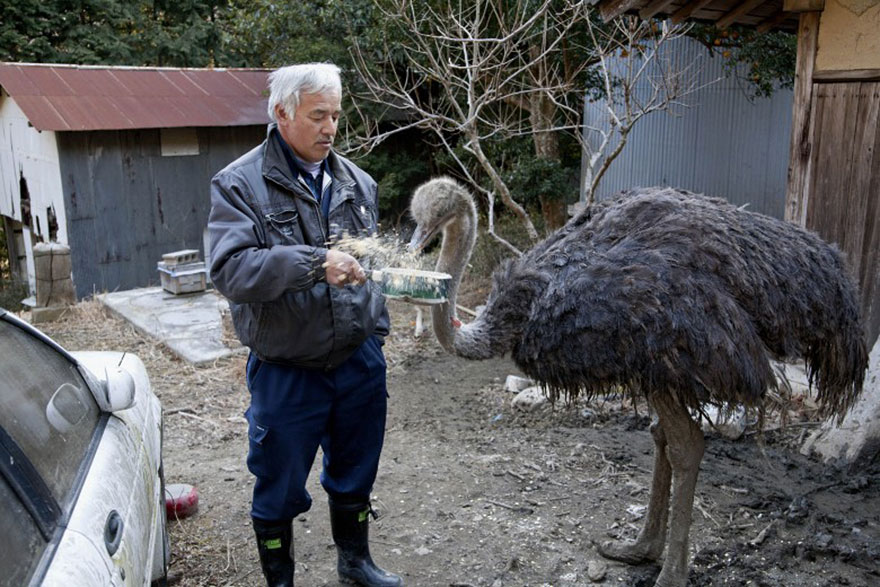 radioactive man returns to Fukushima  to feed animals everyone else left behind
