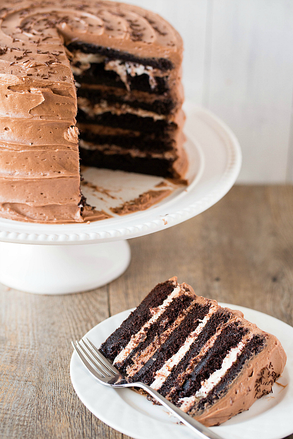 six-layer chocolate cake with toasted marshmallows & malted chocolate frosting