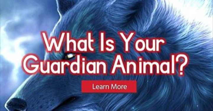 guardian-animal-quiz