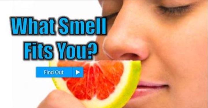 smell-quiz