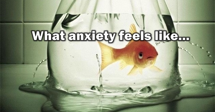 21 Things Everyone Anxiety